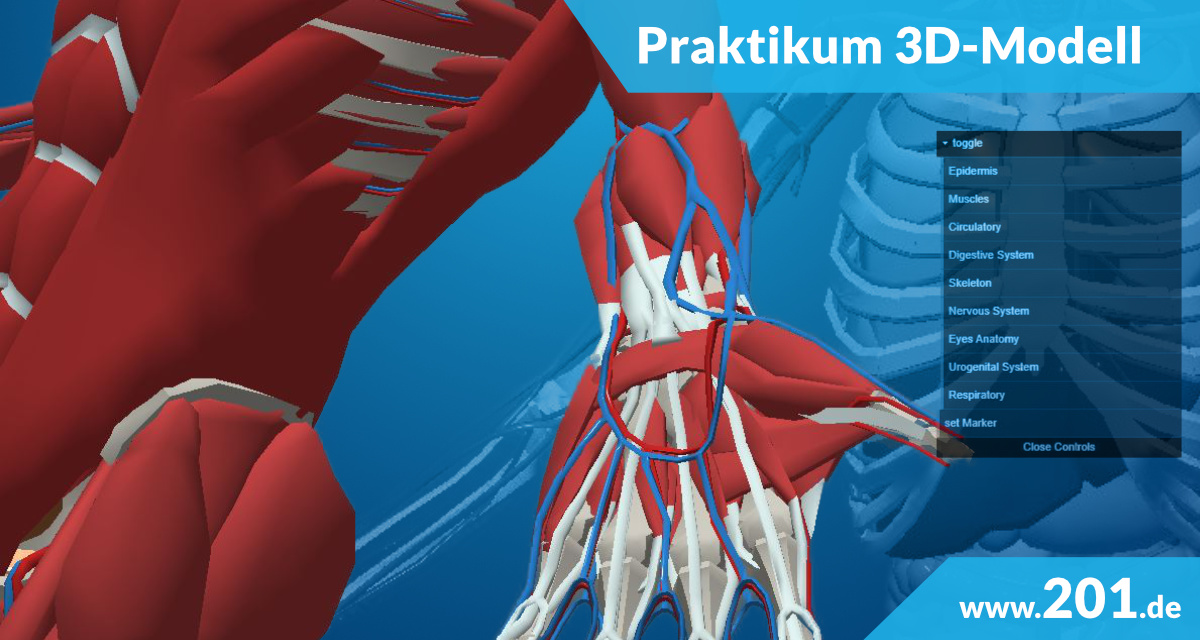 <small>Praktikum</small><br>Web-3D-Modell-Modul zur Patientenanamnese