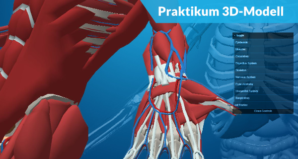 <small>Praktikum</small><br>Web-3D-Modell-Modul zur Patientenanamnese